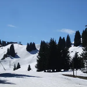 Chalet Montagne 11 P Grand Massif 100 M Télécabine, Morillon
